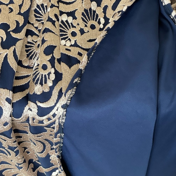 Flutter Sleeve Embroidered Gown - BLUSH with Navy Blue Lining - Picture 11 of 13